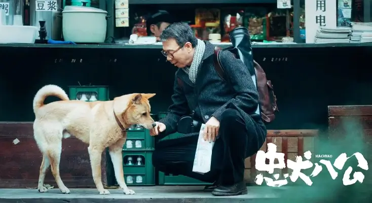 在国外怎么看国内的视频示例